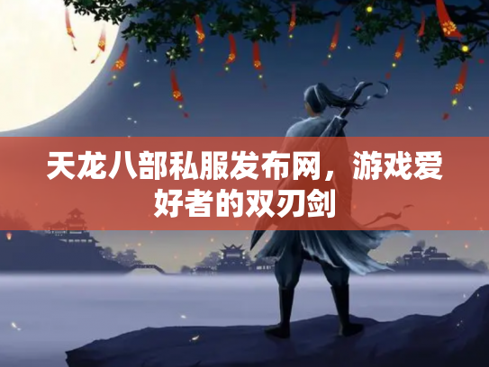 天龙八部私服发布网，游戏爱好者的双刃剑