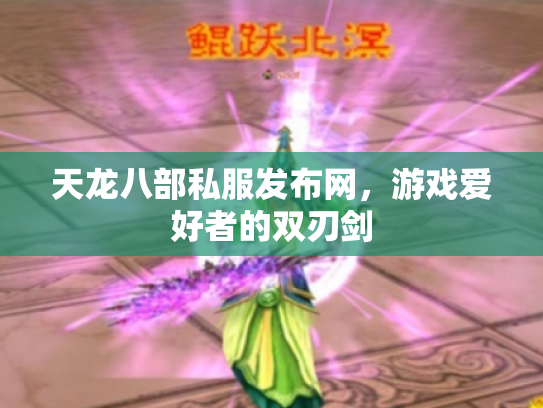 天龙八部私服发布网，游戏爱好者的双刃剑