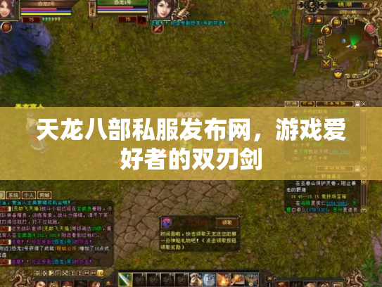 天龙八部私服发布网，游戏爱好者的双刃剑