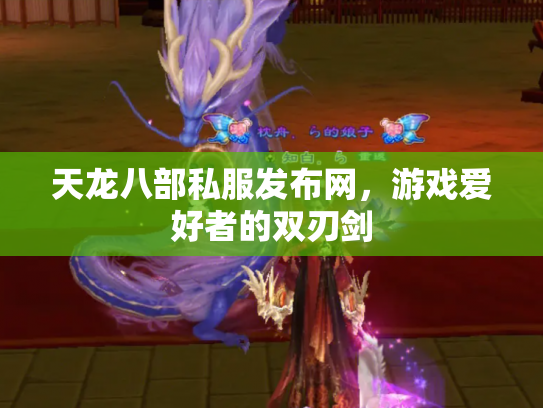 天龙八部私服发布网，游戏爱好者的双刃剑