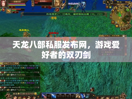 天龙八部私服发布网，游戏爱好者的双刃剑