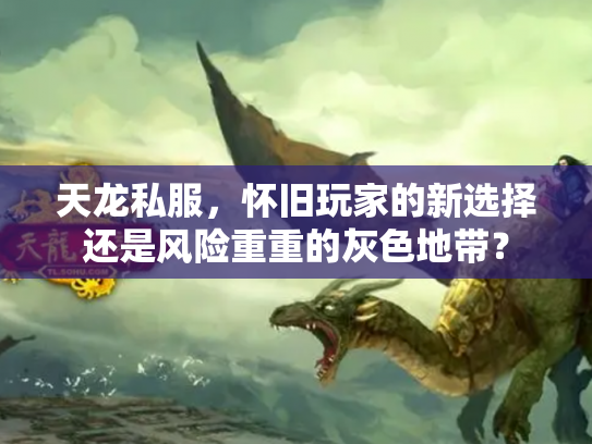 天龙私服，怀旧玩家的新选择还是风险重重的灰色地带？