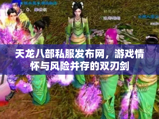 天龙八部私服发布网，游戏情怀与风险并存的双刃剑