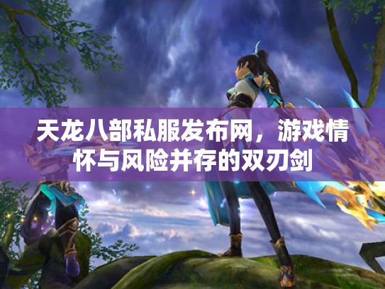天龙八部私服发布网，游戏情怀与风险并存的双刃剑