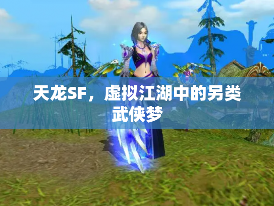 天龙SF，虚拟江湖中的另类武侠梦