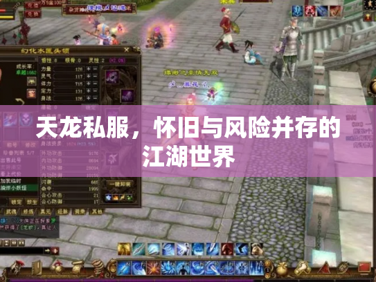 天龙私服，怀旧与风险并存的江湖世界