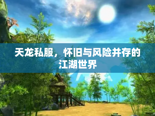 天龙私服，怀旧与风险并存的江湖世界