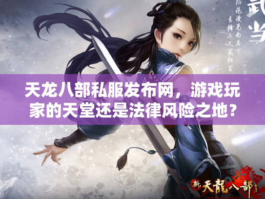 天龙八部私服发布网，游戏玩家的天堂还是法律风险之地？