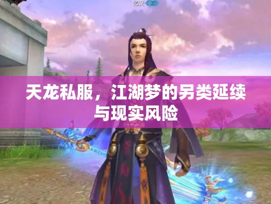 天龙私服，江湖梦的另类延续与现实风险