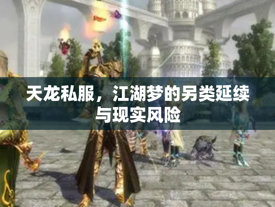 天龙私服，江湖梦的另类延续与现实风险