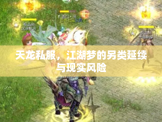 天龙私服，江湖梦的另类延续与现实风险