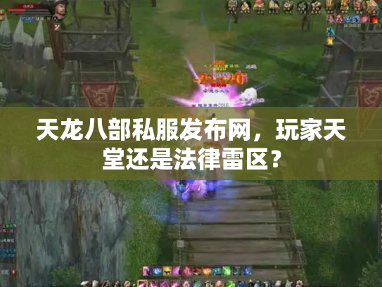 天龙八部私服发布网，玩家天堂还是法律雷区？