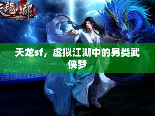 天龙sf，虚拟江湖中的另类武侠梦