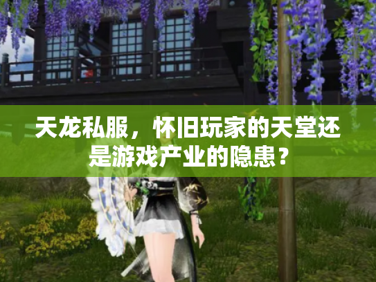 天龙私服，怀旧玩家的天堂还是游戏产业的隐患？