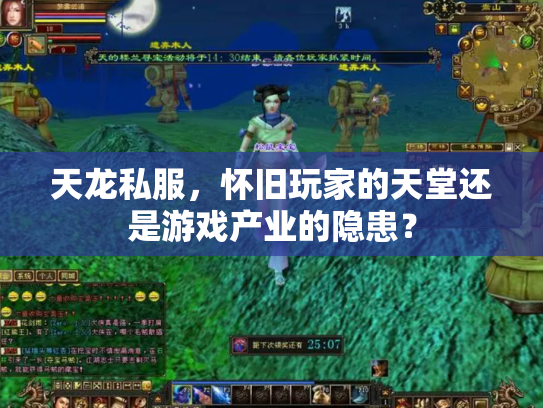 天龙私服，怀旧玩家的天堂还是游戏产业的隐患？