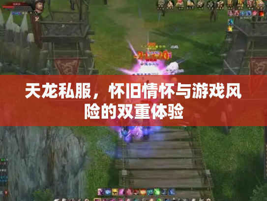 天龙私服，怀旧情怀与游戏风险的双重体验