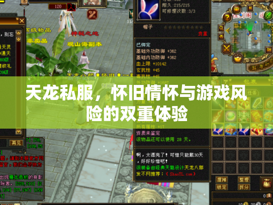 天龙私服，怀旧情怀与游戏风险的双重体验