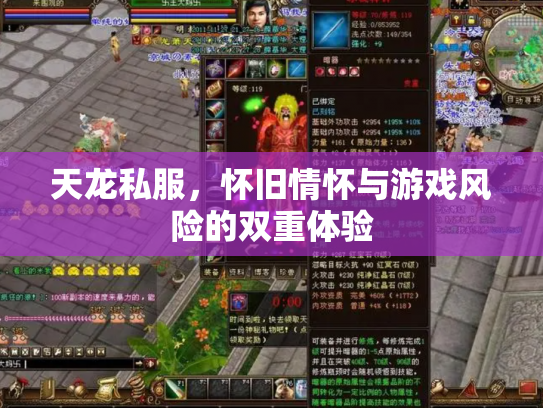 天龙私服，怀旧情怀与游戏风险的双重体验