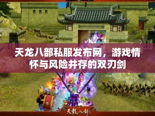 天龙八部私服发布网，游戏情怀与风险并存的双刃剑