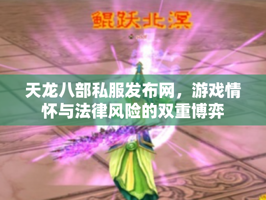 天龙八部私服发布网，游戏情怀与法律风险的双重博弈