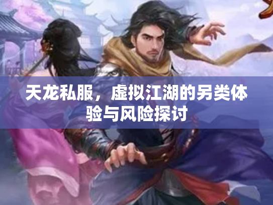 天龙私服，虚拟江湖的另类体验与风险探讨