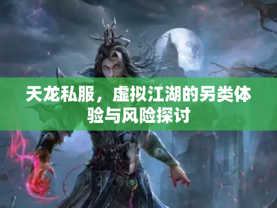 天龙私服，虚拟江湖的另类体验与风险探讨