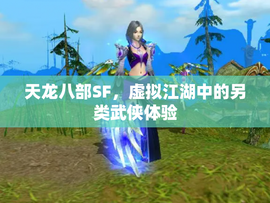 天龙八部SF，虚拟江湖中的另类武侠体验