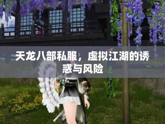 天龙八部私服，虚拟江湖的诱惑与风险