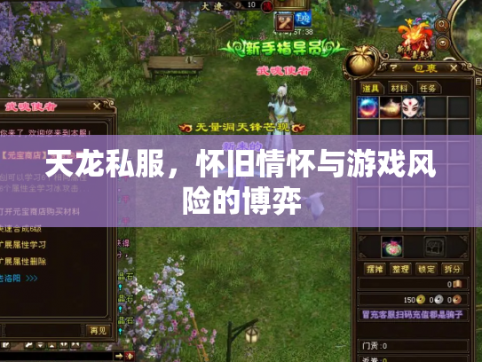 天龙私服，怀旧情怀与游戏风险的博弈