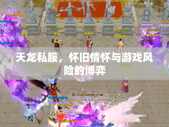 天龙私服，怀旧情怀与游戏风险的博弈
