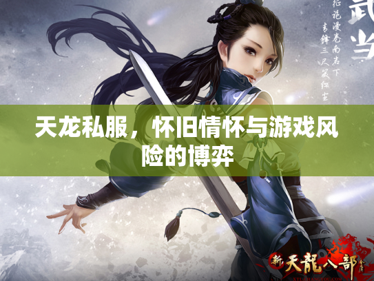 天龙私服，怀旧情怀与游戏风险的博弈