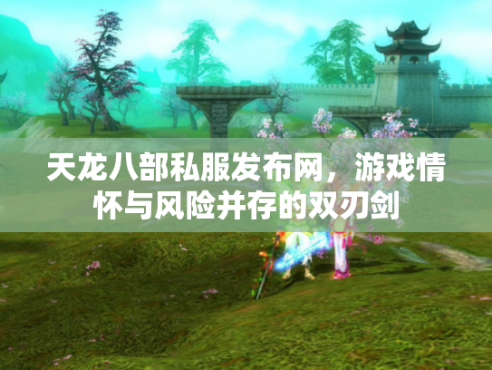 天龙八部私服发布网，游戏情怀与风险并存的双刃剑