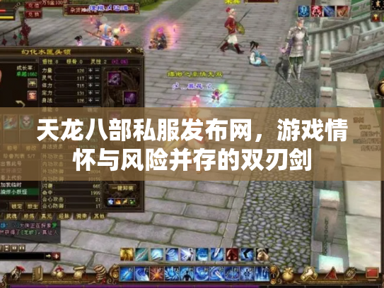 天龙八部私服发布网，游戏情怀与风险并存的双刃剑