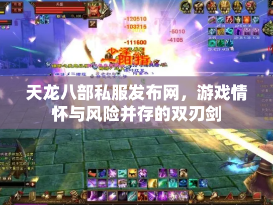 天龙八部私服发布网，游戏情怀与风险并存的双刃剑