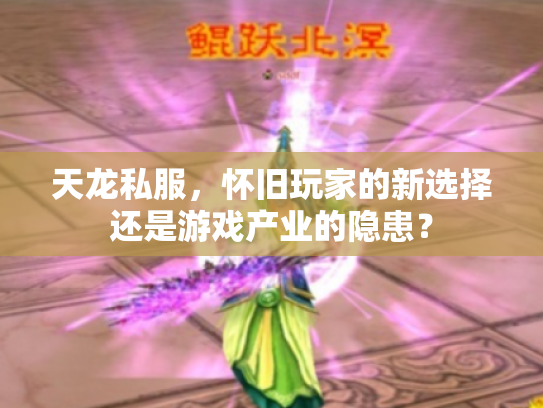 天龙私服，怀旧玩家的新选择还是游戏产业的隐患？