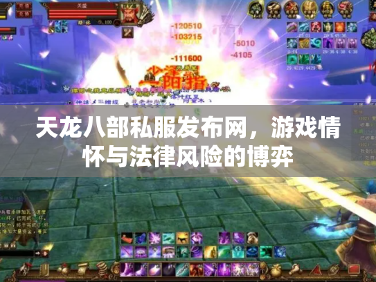天龙八部私服发布网，游戏情怀与法律风险的博弈