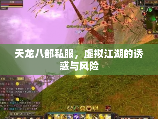 天龙八部私服，虚拟江湖的诱惑与风险