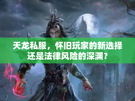 天龙私服，怀旧玩家的新选择还是法律风险的深渊？