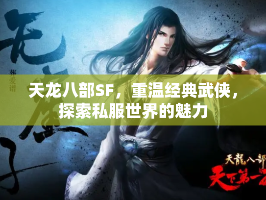 天龙八部SF，重温经典武侠，探索私服世界的魅力