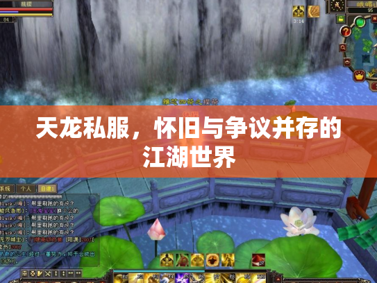 天龙私服，怀旧与争议并存的江湖世界