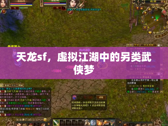 天龙sf，虚拟江湖中的另类武侠梦