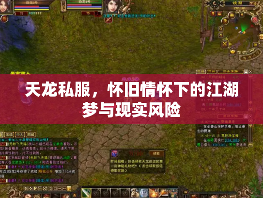 天龙私服，怀旧情怀下的江湖梦与现实风险