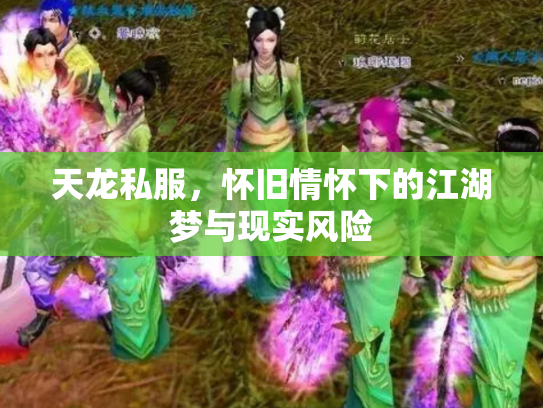 天龙私服，怀旧情怀下的江湖梦与现实风险