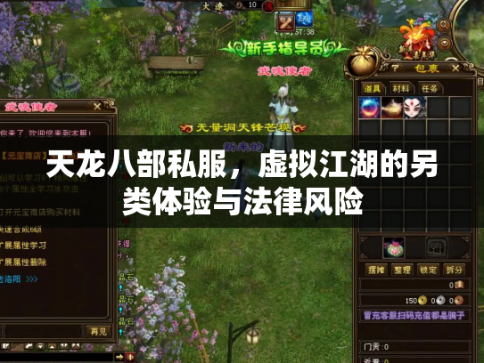 天龙八部私服，虚拟江湖的另类体验与法律风险