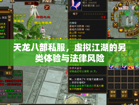 天龙八部私服，虚拟江湖的另类体验与法律风险