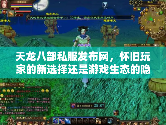 天龙八部私服发布网，怀旧玩家的新选择还是游戏生态的隐患？