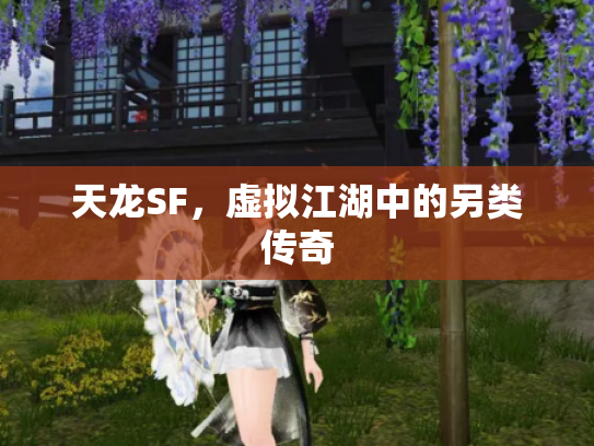 天龙SF，虚拟江湖中的另类传奇