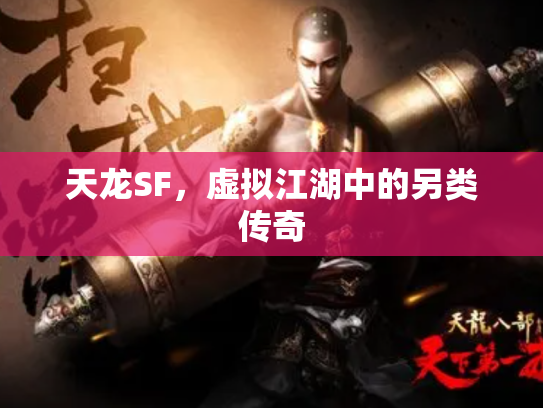 天龙SF，虚拟江湖中的另类传奇