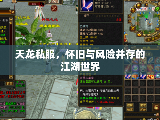 天龙私服，怀旧与风险并存的江湖世界