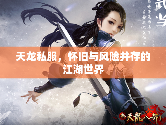 天龙私服，怀旧与风险并存的江湖世界